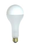 Bulbrite 717150 - 150PS25F/SB - 150 Watt PS25 Silver Bowl Incandescent Light Bulb, Frosted
