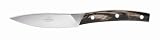 Consigli Falorni 4-Piece Buffalo Horn Handle Steak Knife, 4-1/3-Inch Blade