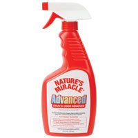 NMIR ADV STAIN & ODOR 24 OZ