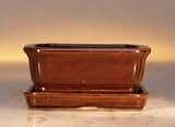 Bonsai Boy's Rectangle - Glazed Dark Red Orange<br>5.0x4.0x2.2