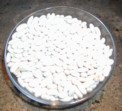 Cannellini Beans