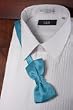 Tuxedo Bowtie - Turquoise is Awesome!
