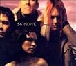 Skindive