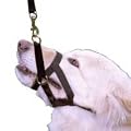 Halti Headcollar Black Padded (Size: 3)