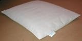 Small size Buckwheat Pillow W/out Cover