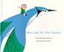 Bluejay in the Desert