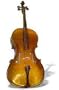 Engelhardt Cello, Spruce Top, 4/4 Size