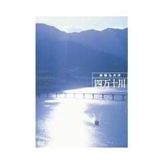 �l���\�� ������� [DVD]