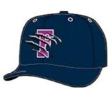 Minor League Baseball Cap - Fresno Grizzlies Home Cap by New Era