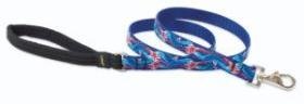 Lupine Medium Dog Leash - Super Star 4 ft.