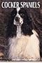 Cal 99 Cocker Spaniels