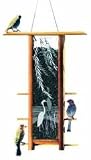 Schrodt Designs Model TH-16CD Cactus Dancers 16-Inch Teahouse Feeder