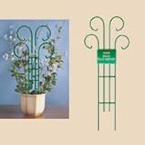 Bosmere L515 Wren Scroll Pot Trellis, Green