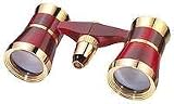 Bresser 3x25 Scala LED Gold/Red Binocular Sport Glasses
