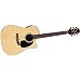 Musical Instruments : Takamine EG530SSC Dreadnought Acoustic Electric Guitar