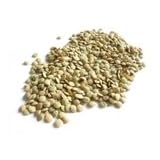 Beans Lentils French Green 25 Pound by Beans