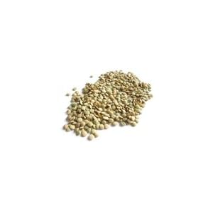 Beans Lentils French Green 25 Pound by Beans
