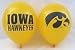 Iowa Hawkeyes 11