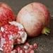 Garnet Sash Pomegranate Tree Five Gallon