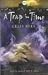 A Trap in Time (Hodder Silver Series)