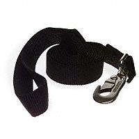Aspen Pet 1" Two-Ply Nylon Dog Leash