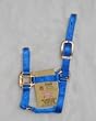 Hamilton Quality 3/4" Nylon Horse Halter, Blue, Foal/Average Mini Horse (100-200 lbs)