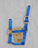 Hamilton Quality 3/4 Nylon Horse Halter, Blue, Foal/Average Mini Horse (100-200 lbs)