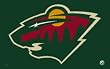 Minnesota Wild NHL 3'x5' Banner Flag by Rico Industries