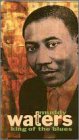 A Tribute to Muddy Waters: King of the Blues