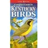 Compact Guide to Kentucky Birds