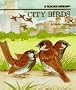 City Birds (Rookie Readers: Level B)