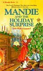 The Holiday Surprise by Lois Gladys Leppard