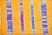quilts and blankets Block Print Natural Stuffed Cotton, Home Decor Furnishings From India 86x56 inches (qltp001)