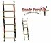 Parrotopia Wooden Ladder Large Bird Toy 28in long