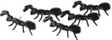 Eyelet Outlet Brads Ants 12/Pkg QBRD-725; 3 Items/Order