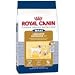 Royal Canin Maxi 30 Labrador Retriever Dog Food (6-lb bag)