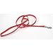 Coastal Pet Pet Attire Nylon Dog Leash / Lead (Red Bones, 4 ft. L x 3/4 Inch W)