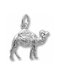 Camel Charm