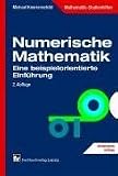 Numerische Mathematik: Eine beispielorientierte Einf&uuml;hrung - Michael Knorrenschild