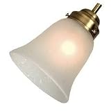 Review Craftmade International, Inc.  / Bell-Shaped Seeded Glass Shade