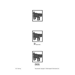 Early Aphasia Therapy - Model 920394 by Sammons Preston