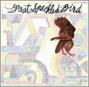Great Speckled Bird