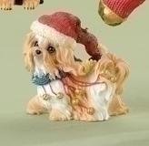 Roman - Puppy in Christmas Outfit - Yorkshire Terrier - Yorkie - 3