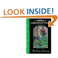 The Austere Academy (A Series of Unfortunate Events No.5)