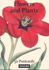 Flowers and Plants: Gardens at Eichstatt: 30 Postcards (Taschen Postcard Books)