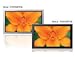 Sony FWD50PX3/S 50IN PLASMA 15000:1 1365X768 FWD50PX3/S SILVER HDTV