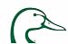 Duck's Unlimited Duckhead Sport Decal