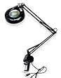 LumaPro 5MM53 Magnifier Light, 22 W