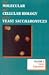 Books : The Molecular and Cellular Biology of the Yeast Saccharomyces: Gene Expression (Molecular Biology and Cellular Biology of the Yeast Saccharomyces)