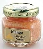 Aloha Bay Palm Wax Candles - Mango (Orange) - Scented Trip Light Jars 1.2 oz 12 Hours